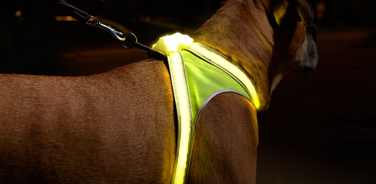 NOXGEAR LIGHTHOUND HARNESS